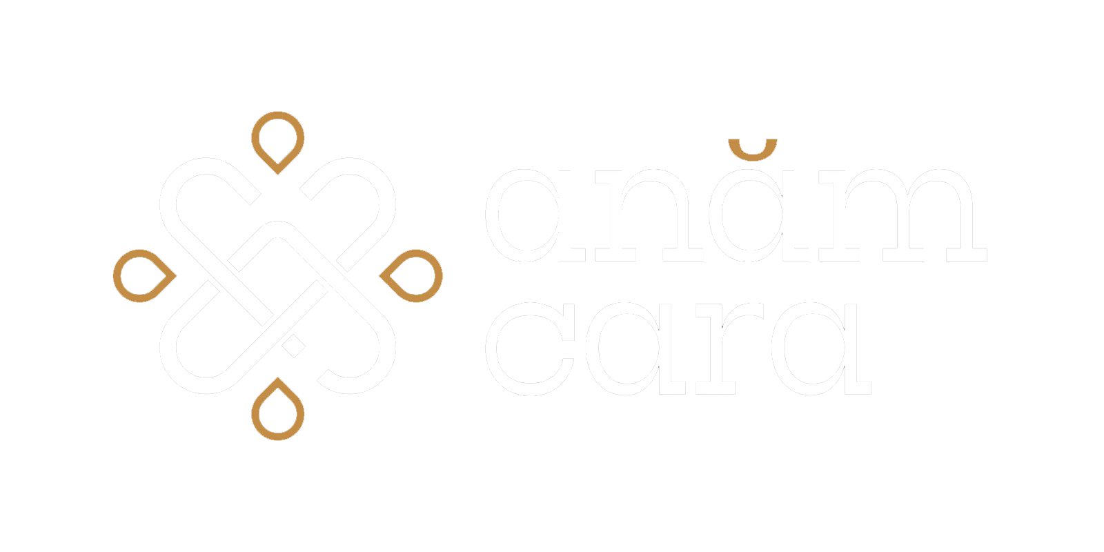 Logotipo AnamCara
